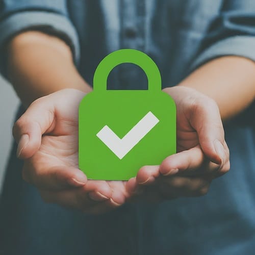 Choosing the Right SSL Certificate: A Guide for Different Needs 5 green-address-bar-with-company-name